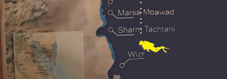 Forum1.png